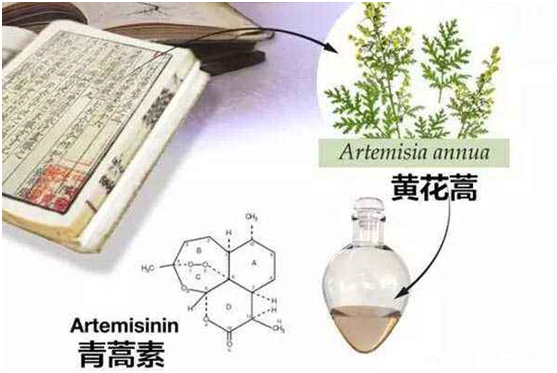 九游在线,九游在线（中国）：向中医药看齐，与世界共享中医药文化(图1)